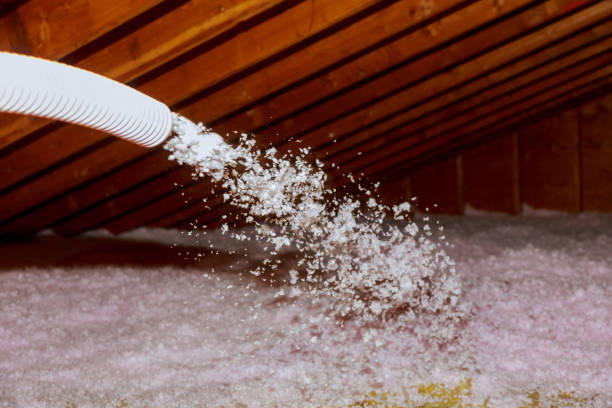 Best Energy Efficiency Insulation in Williamson, WV