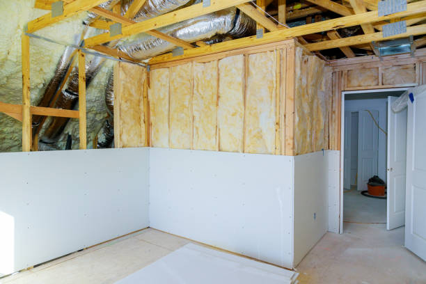 Best Geographic-Specific Insulation Services in Williamson, WV