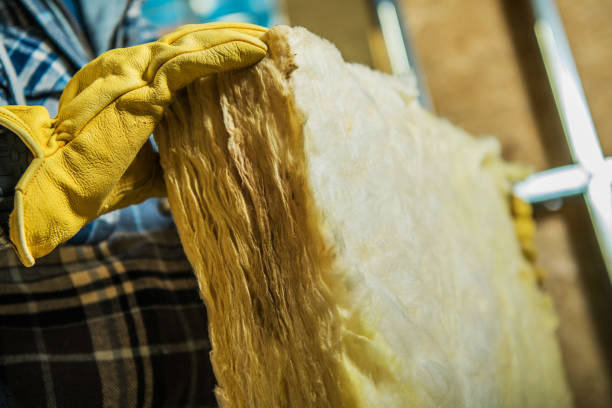Best Specialized Insulation Services in Williamson, WV