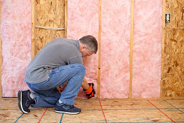 Best Geographic-Specific Insulation Services in Williamson, WV