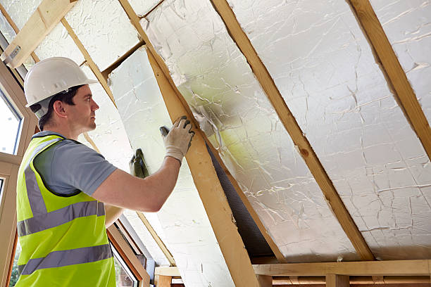 Best Insulation Maintenance and Repair in Williamson, WV
